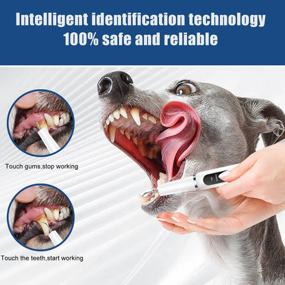 Professional Pet Dental Cleaning Kit - Ultrasonic Scaler, Tools & 3 Modes