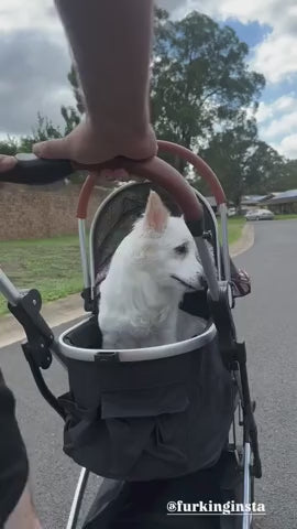Fur King Lux Pet Pram / Stroller - Green